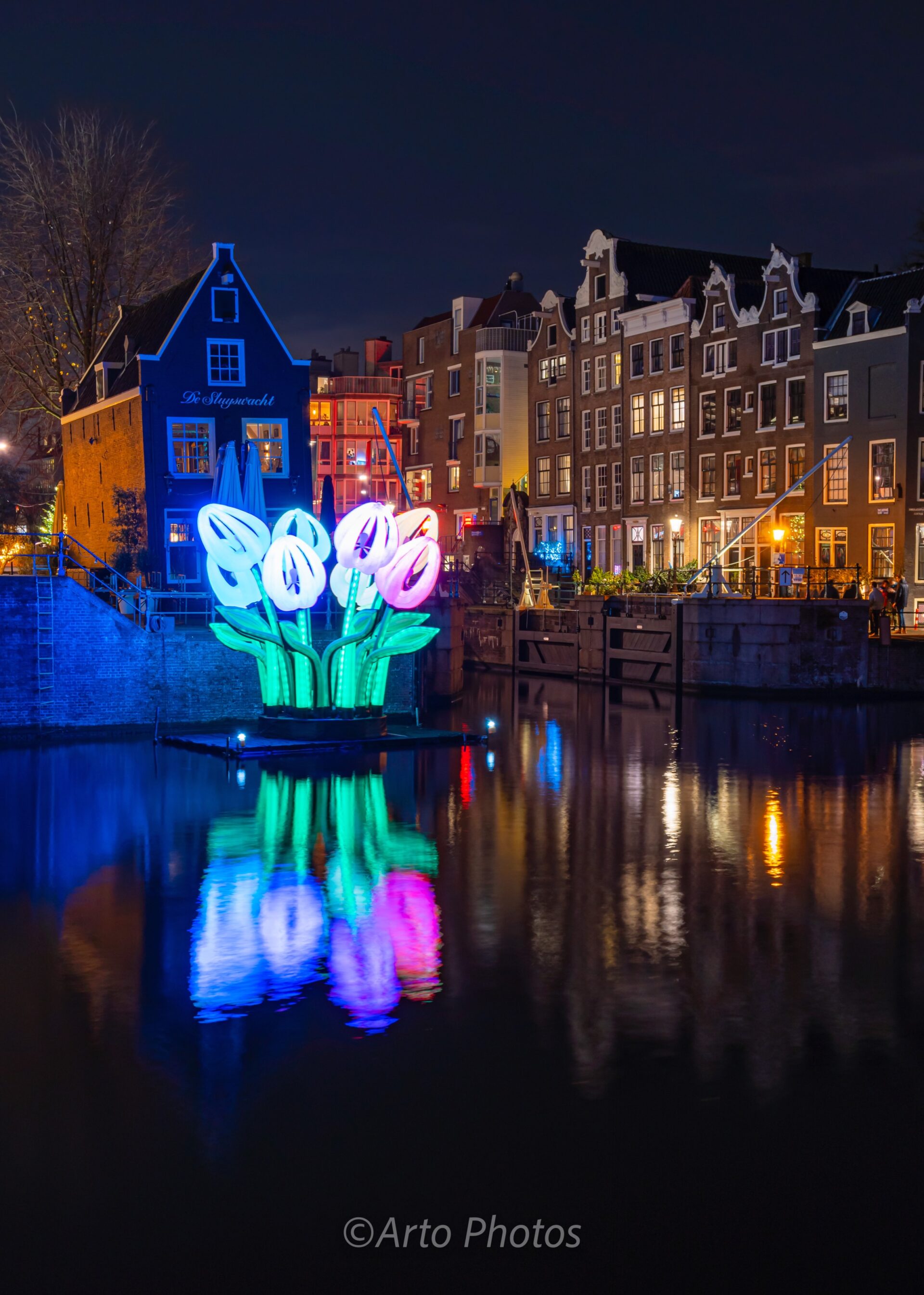 Amsterdam Lighting Tulips, #022